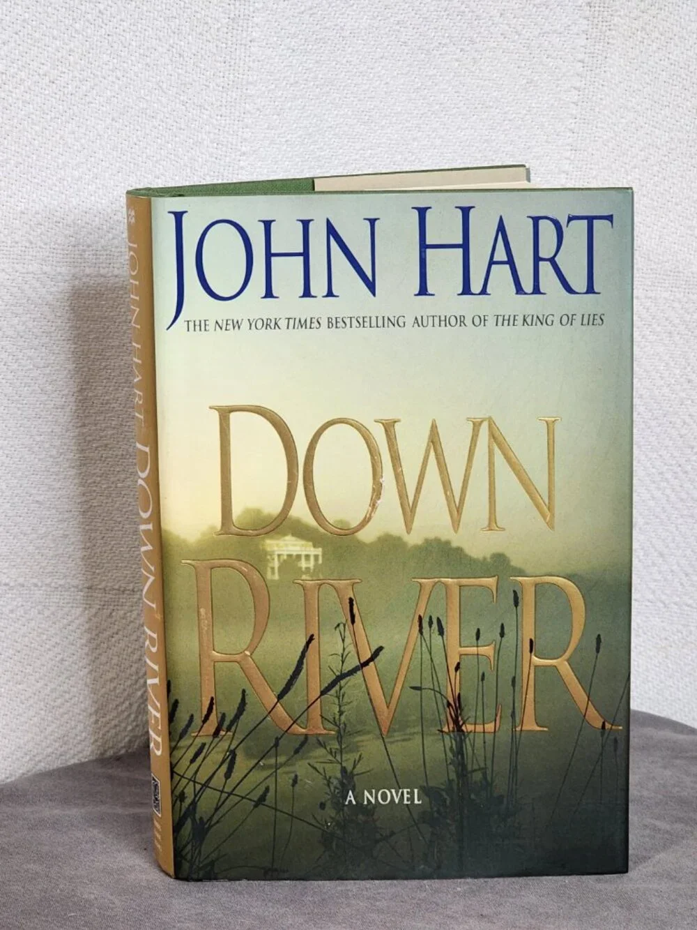 Down River A Novel by New York Times Best Selling Author John Hart Hardback Book